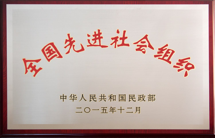 全国先进社会组织奖牌-完美版.jpg