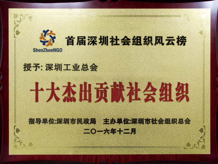 十大杰出贡献社会组织奖牌.jpg