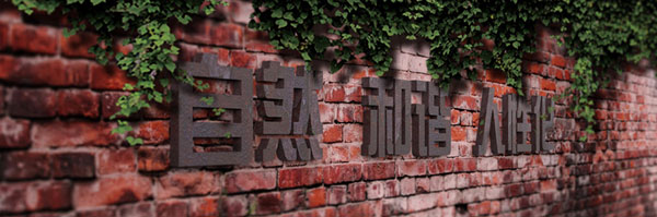天利来3.jpg